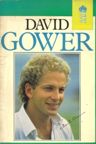 David Gower Benefit Brochure